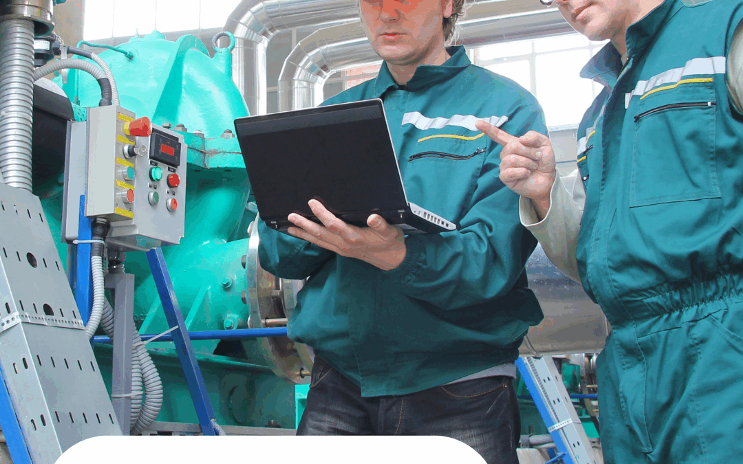 More than software: services that guarantee your success